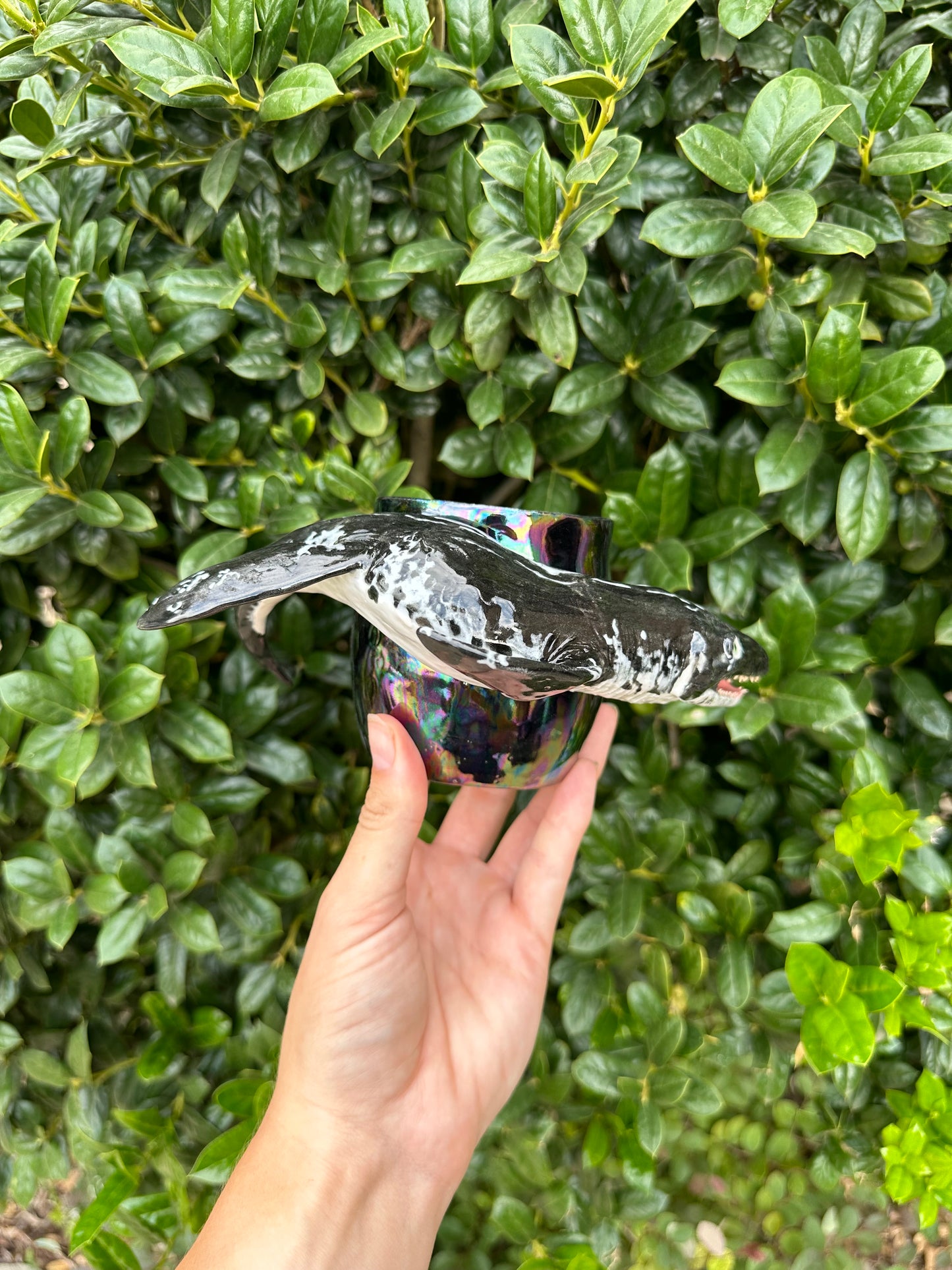Category 3 mug pre-order