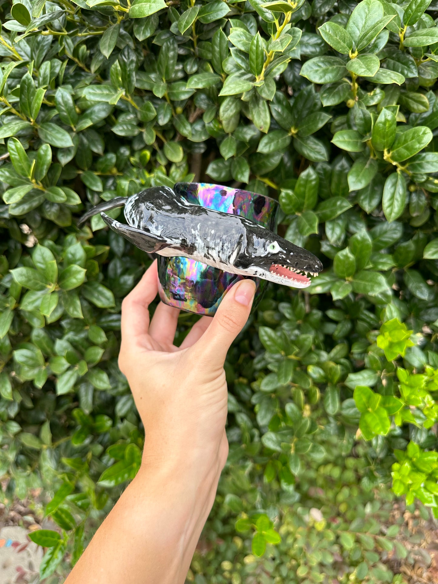 Category 3 mug pre-order