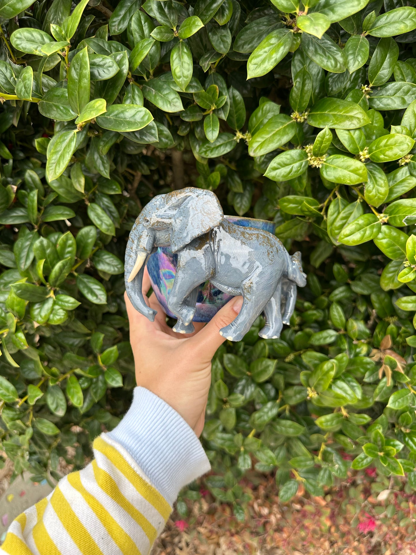 Elephant mug pre-order