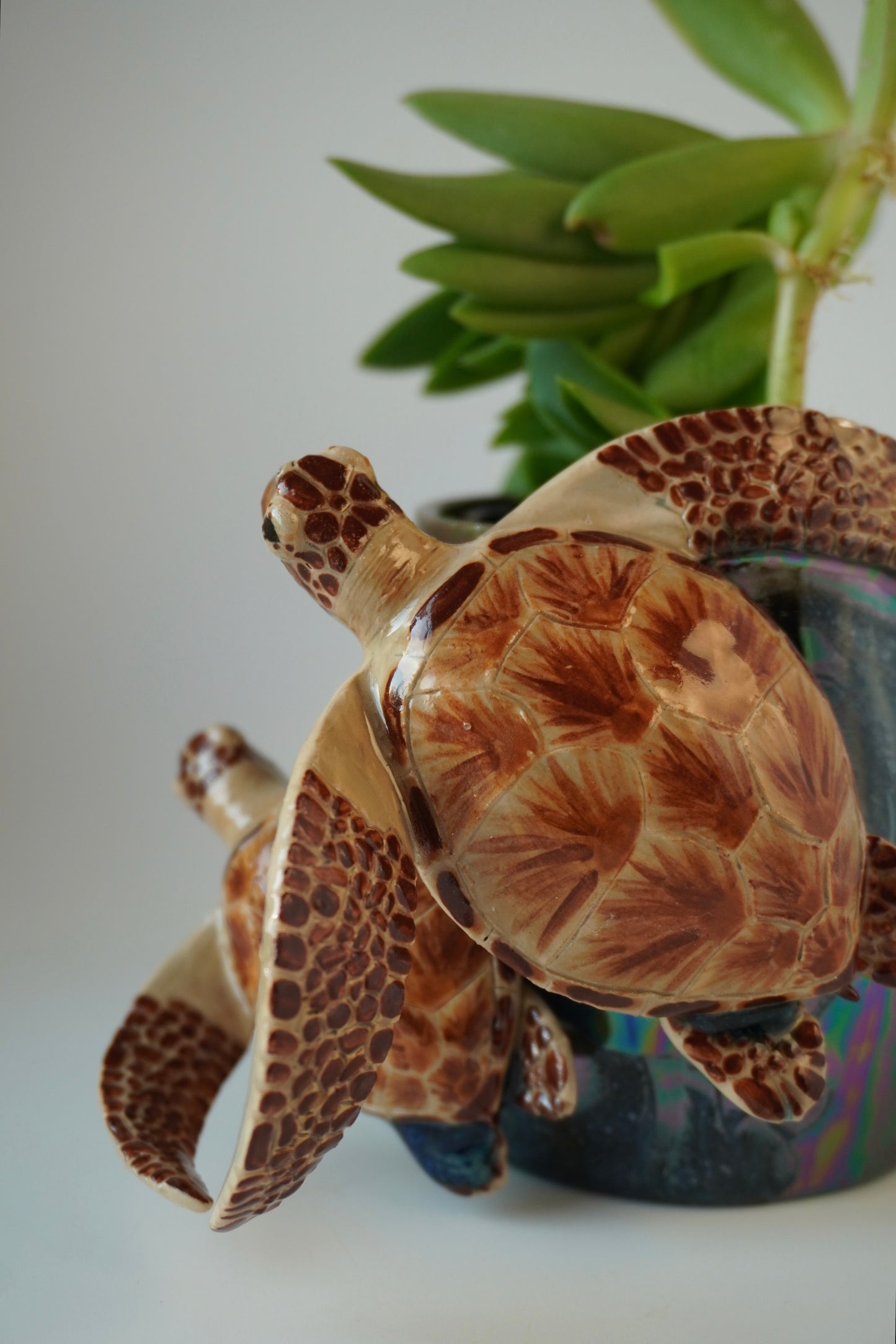 Sea turtle planter