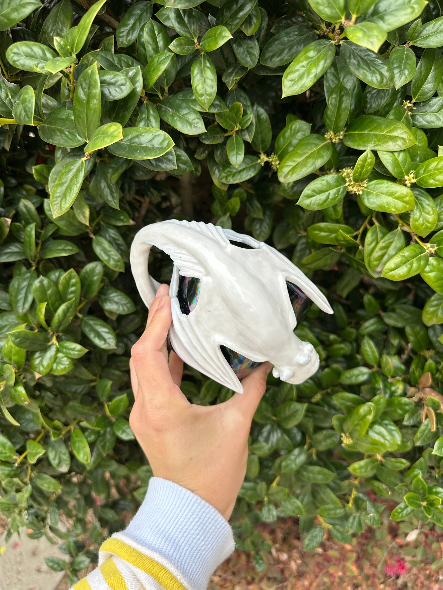 Dragon mug pre-order