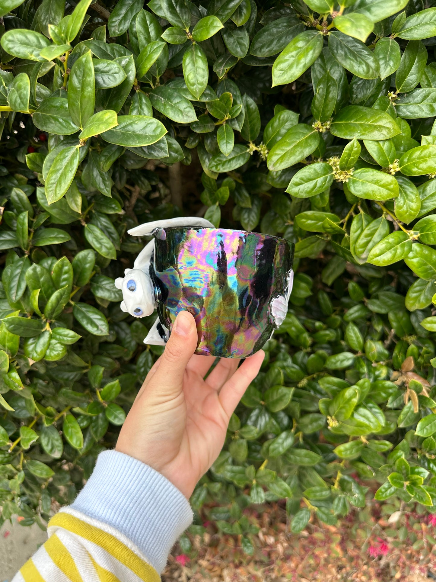 Dragon mug pre-order