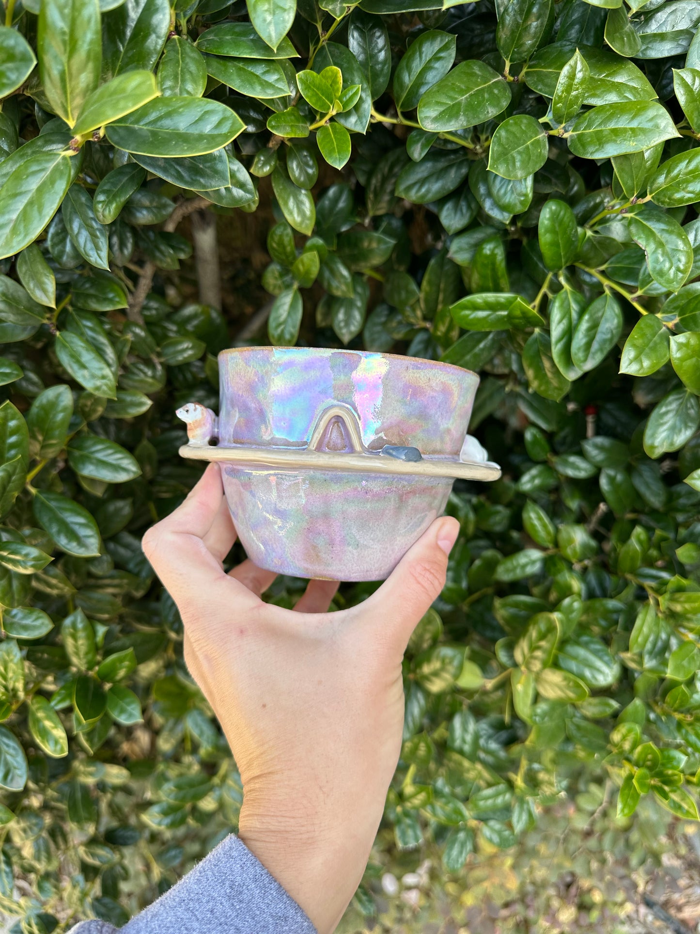 Guinea pig/ferret mug pre-order