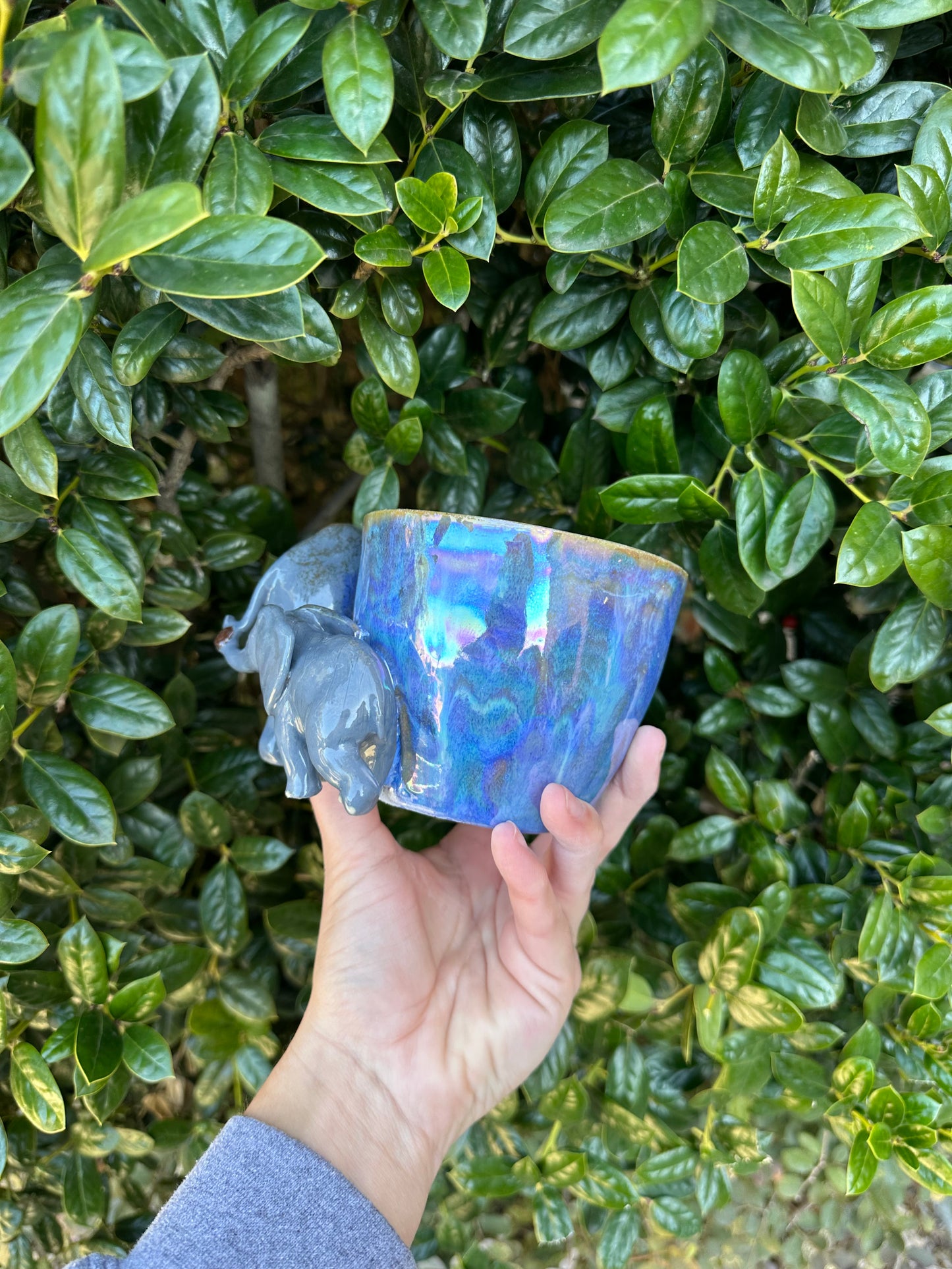Elephant mug pre-order