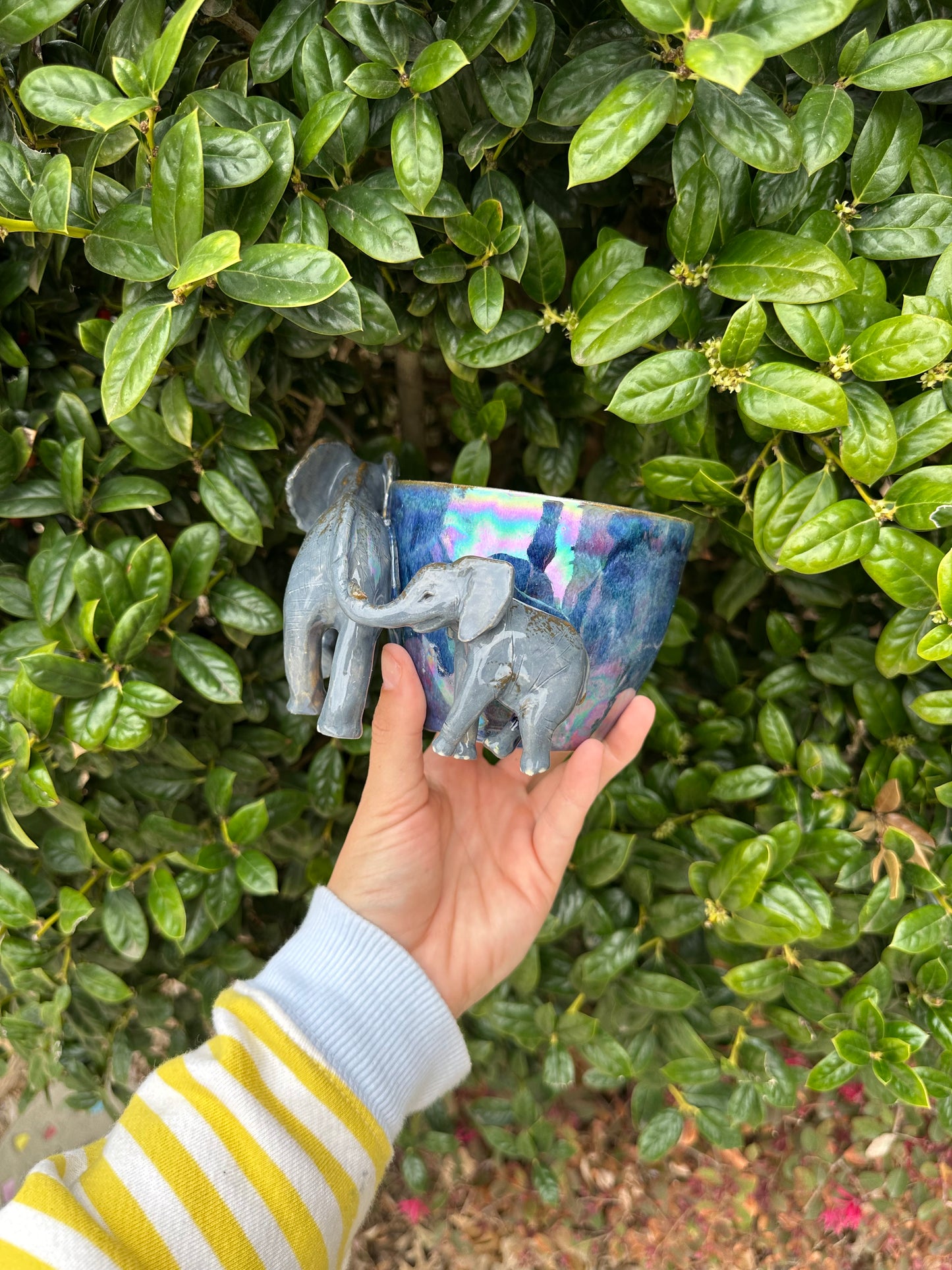 Elephant mug pre-order