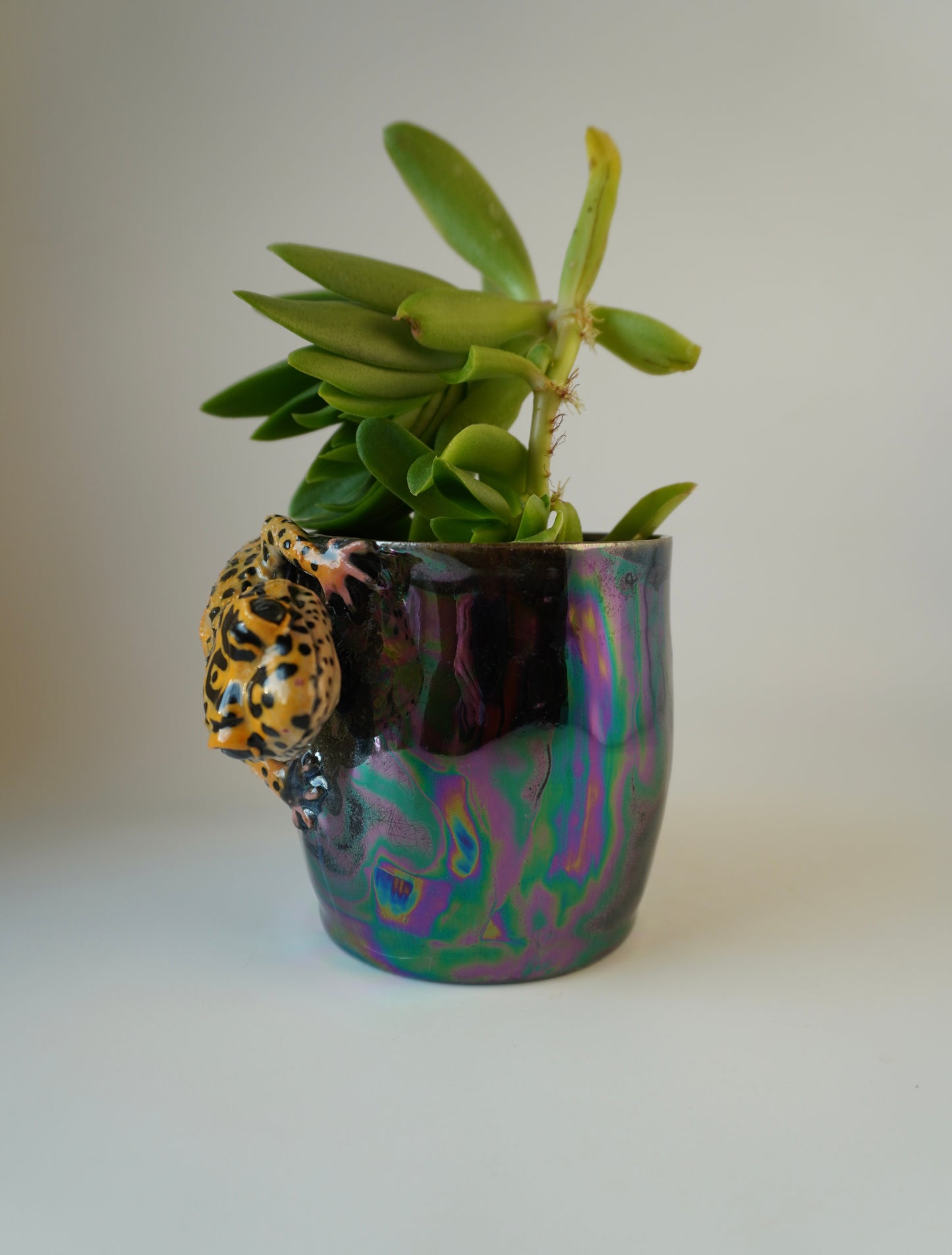 Leopard gecko planter