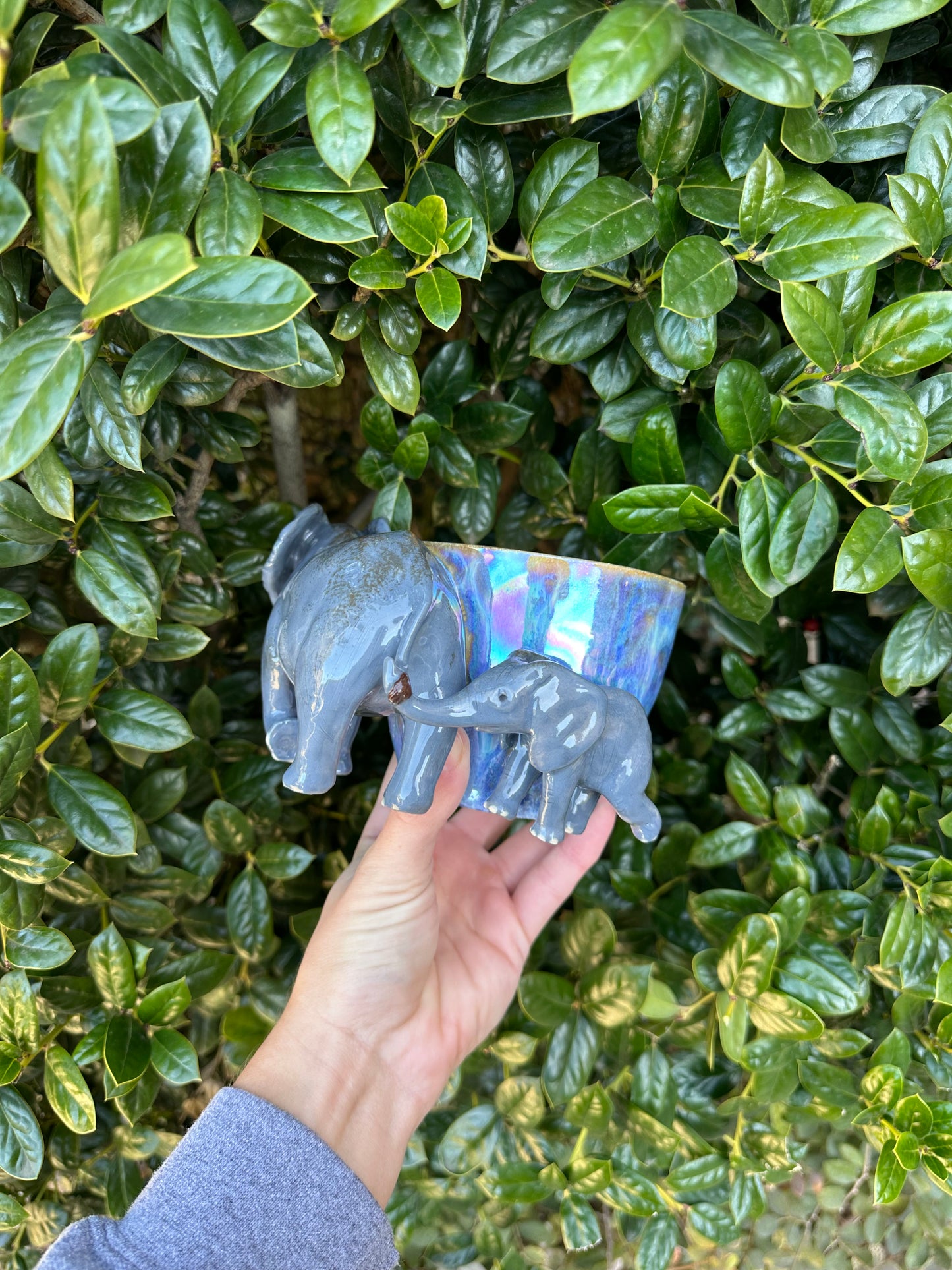 Elephant mug pre-order