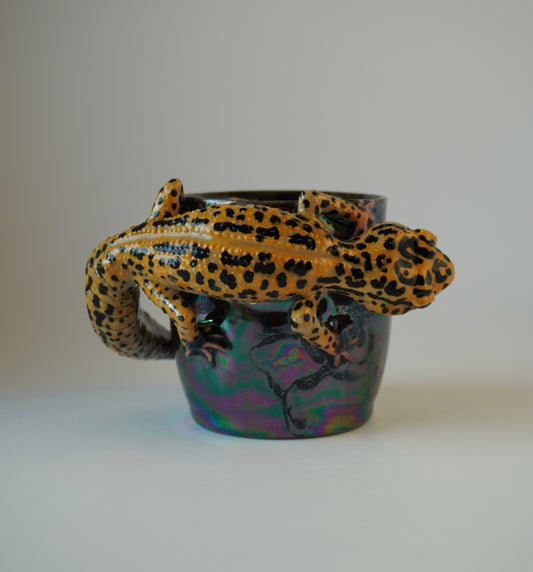 Leopard gecko planter