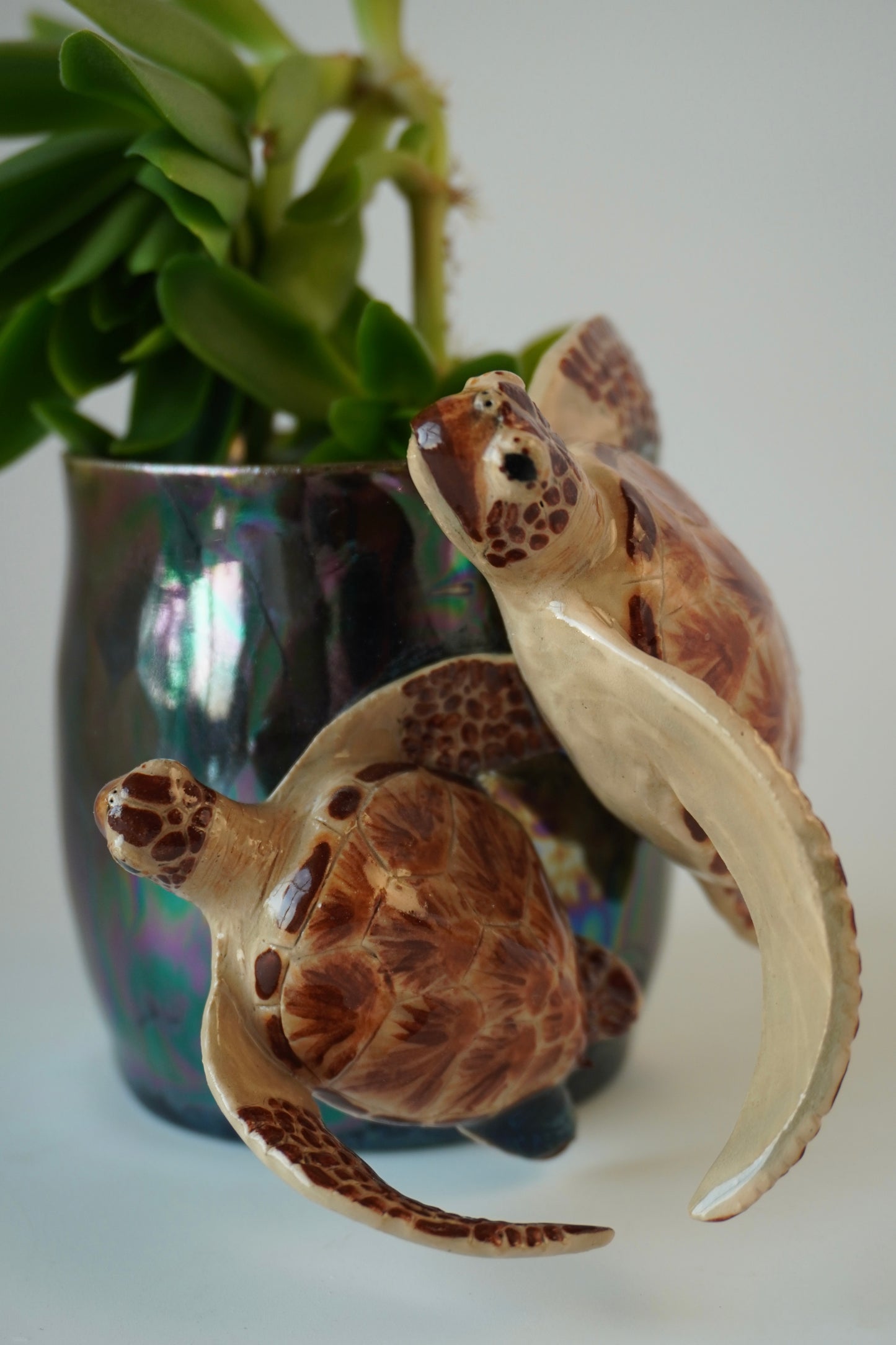 Sea turtle planter