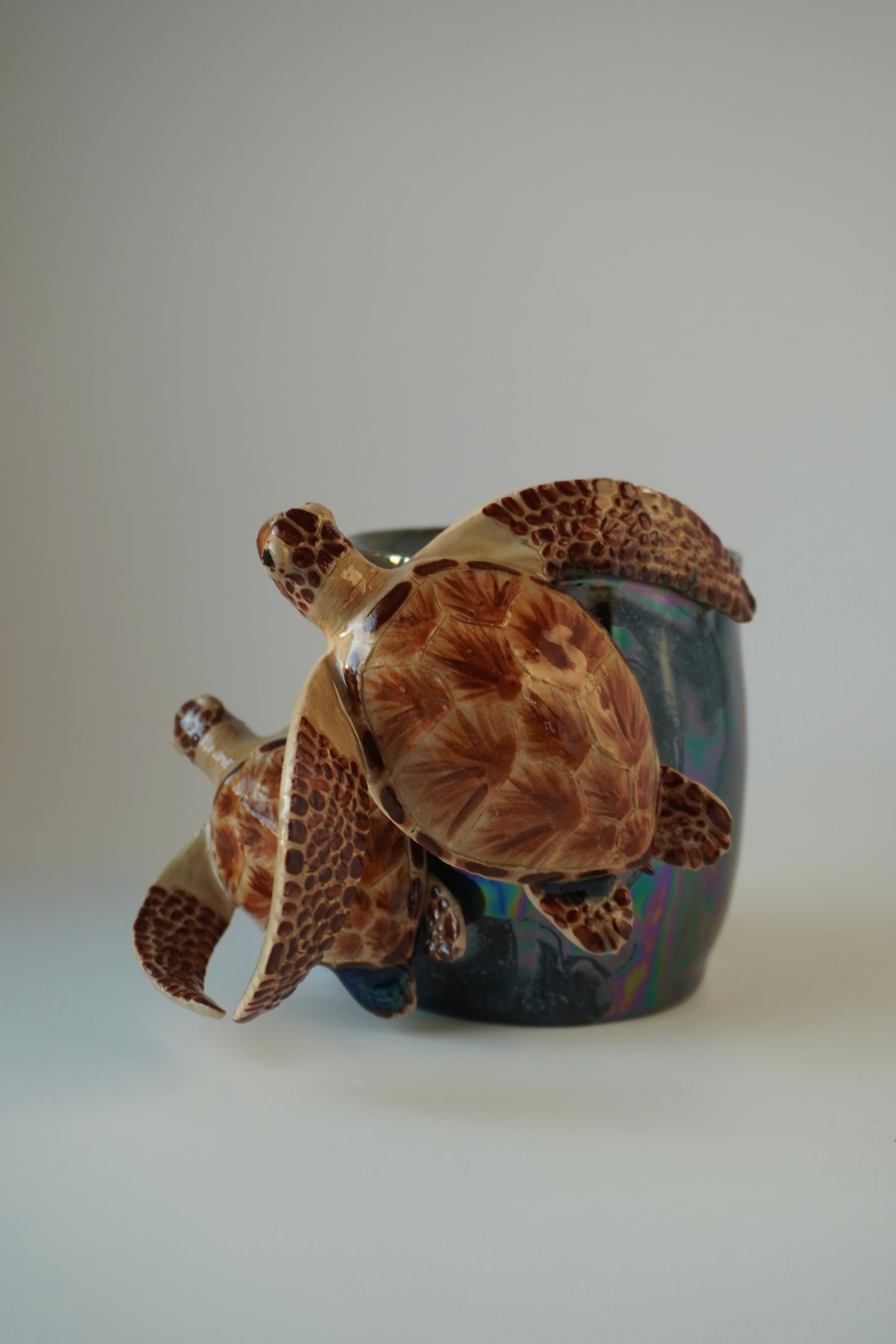 Sea turtle planter