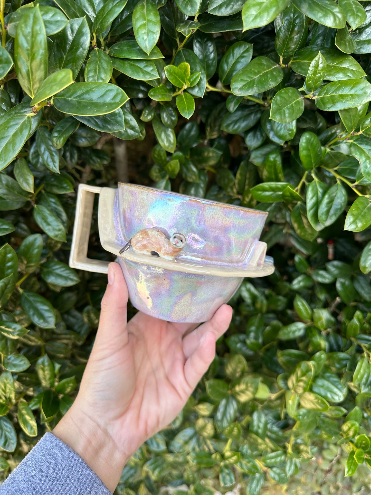 Guinea pig/ferret mug pre-order