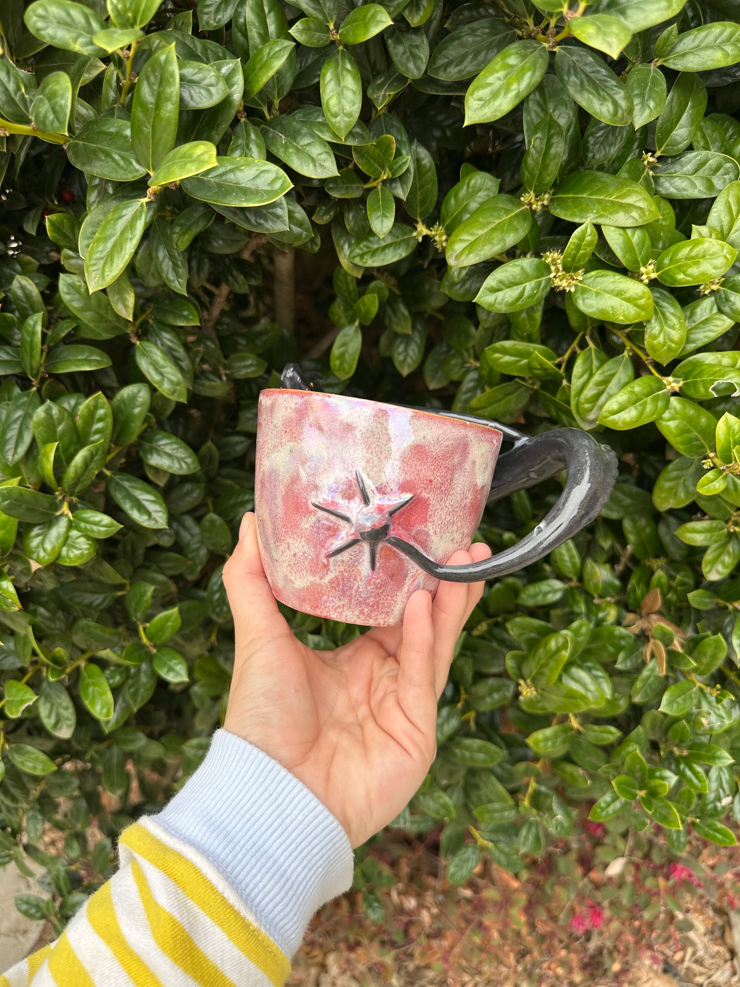 Dragon mug pre-order