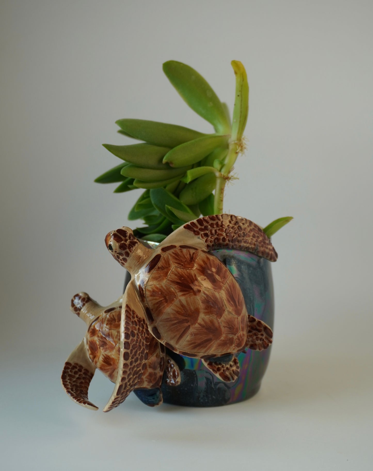 Sea turtle planter