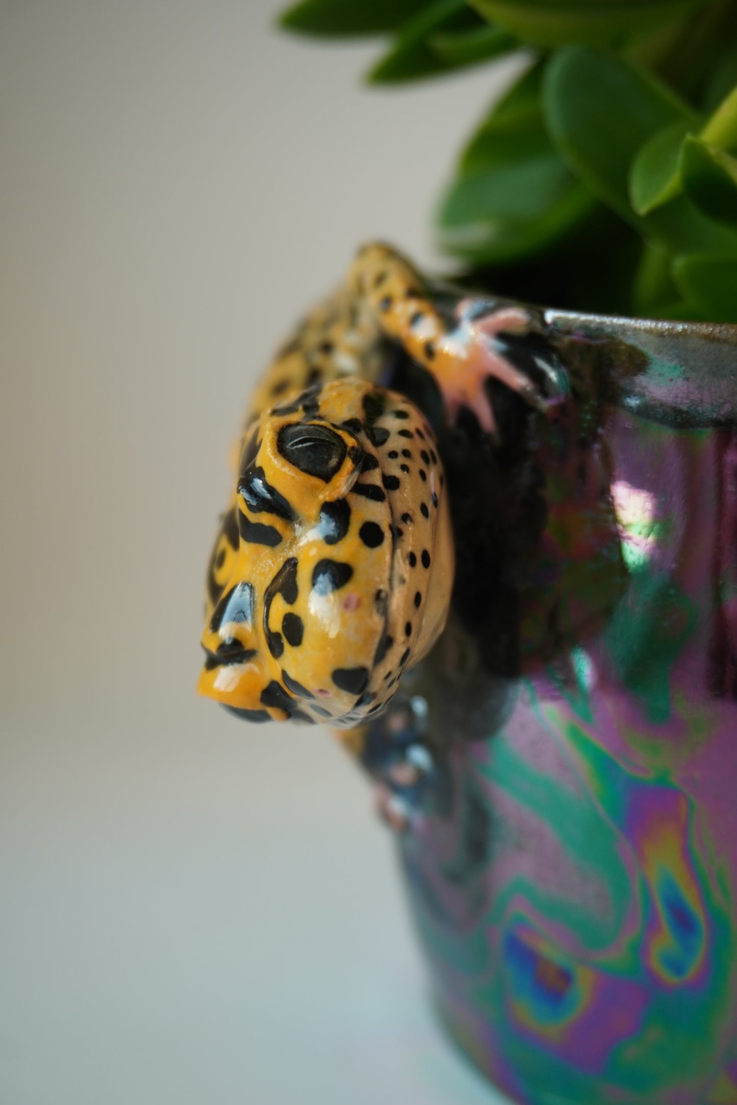 Leopard gecko planter