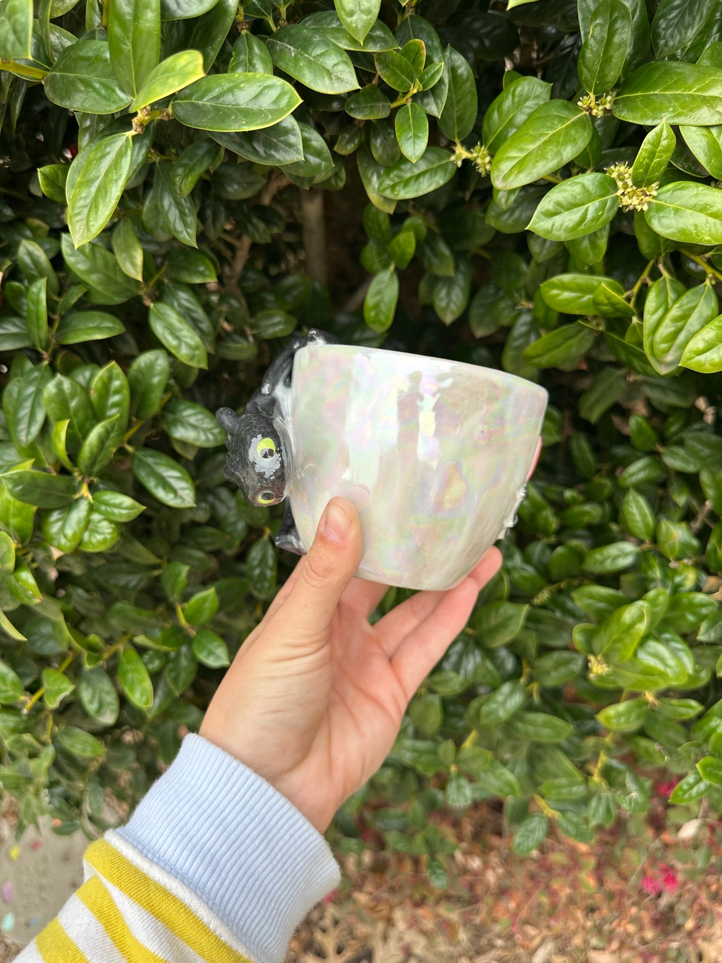 Dragon mug pre-order