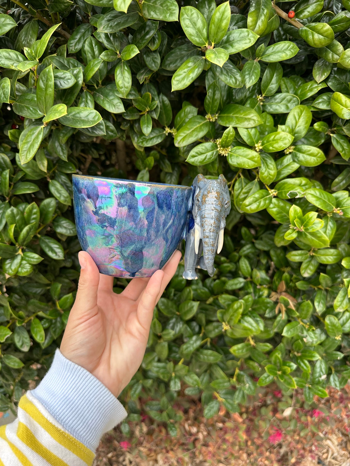 Elephant mug pre-order