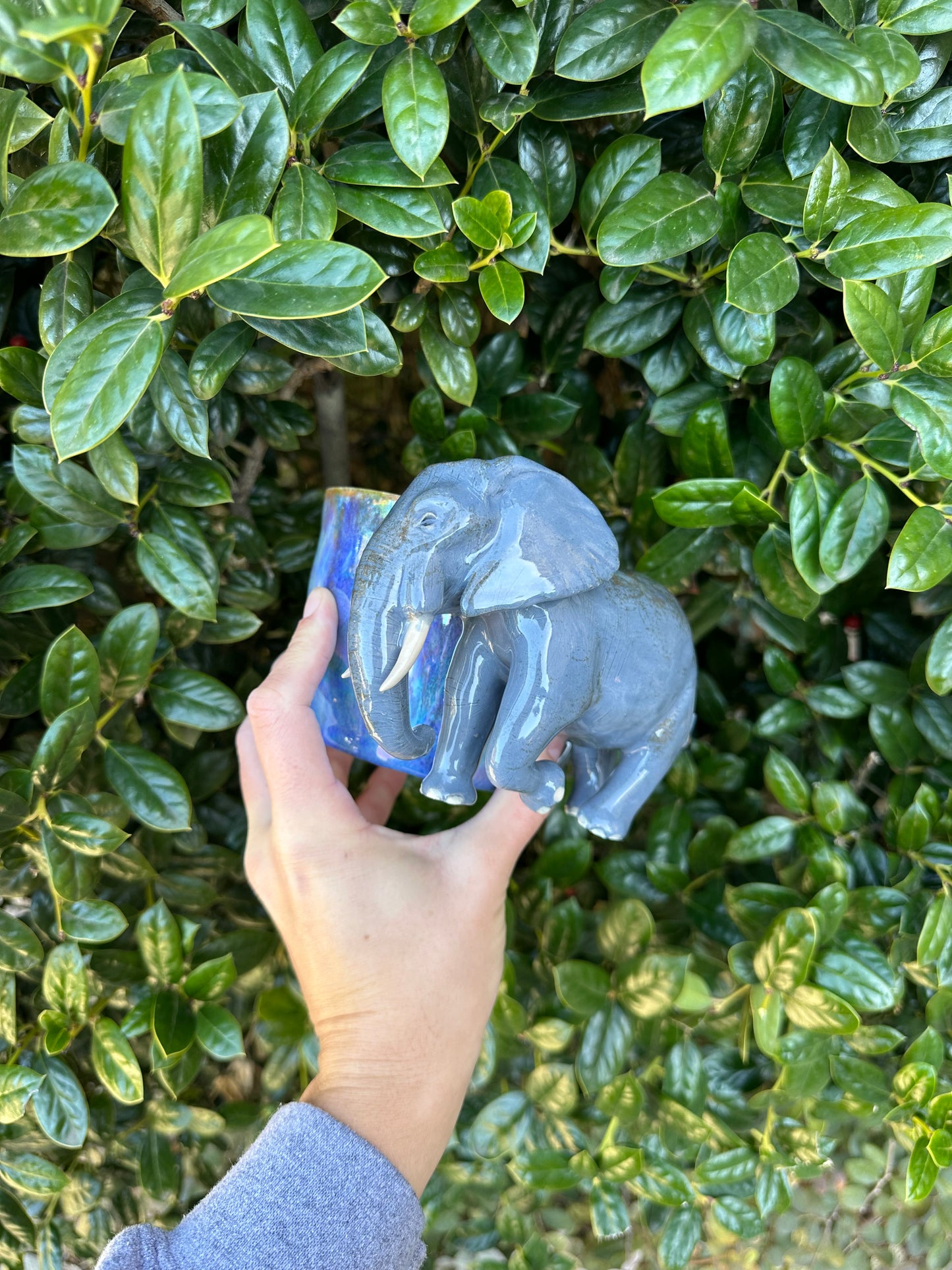 Elephant mug pre-order