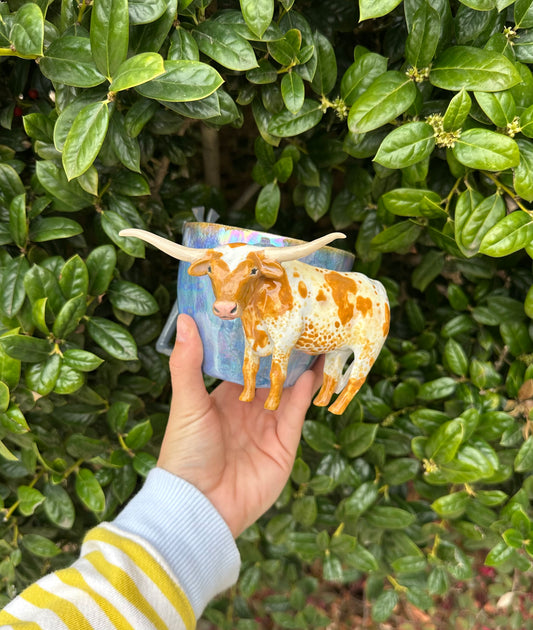 Longhorn/horse mug pre-order