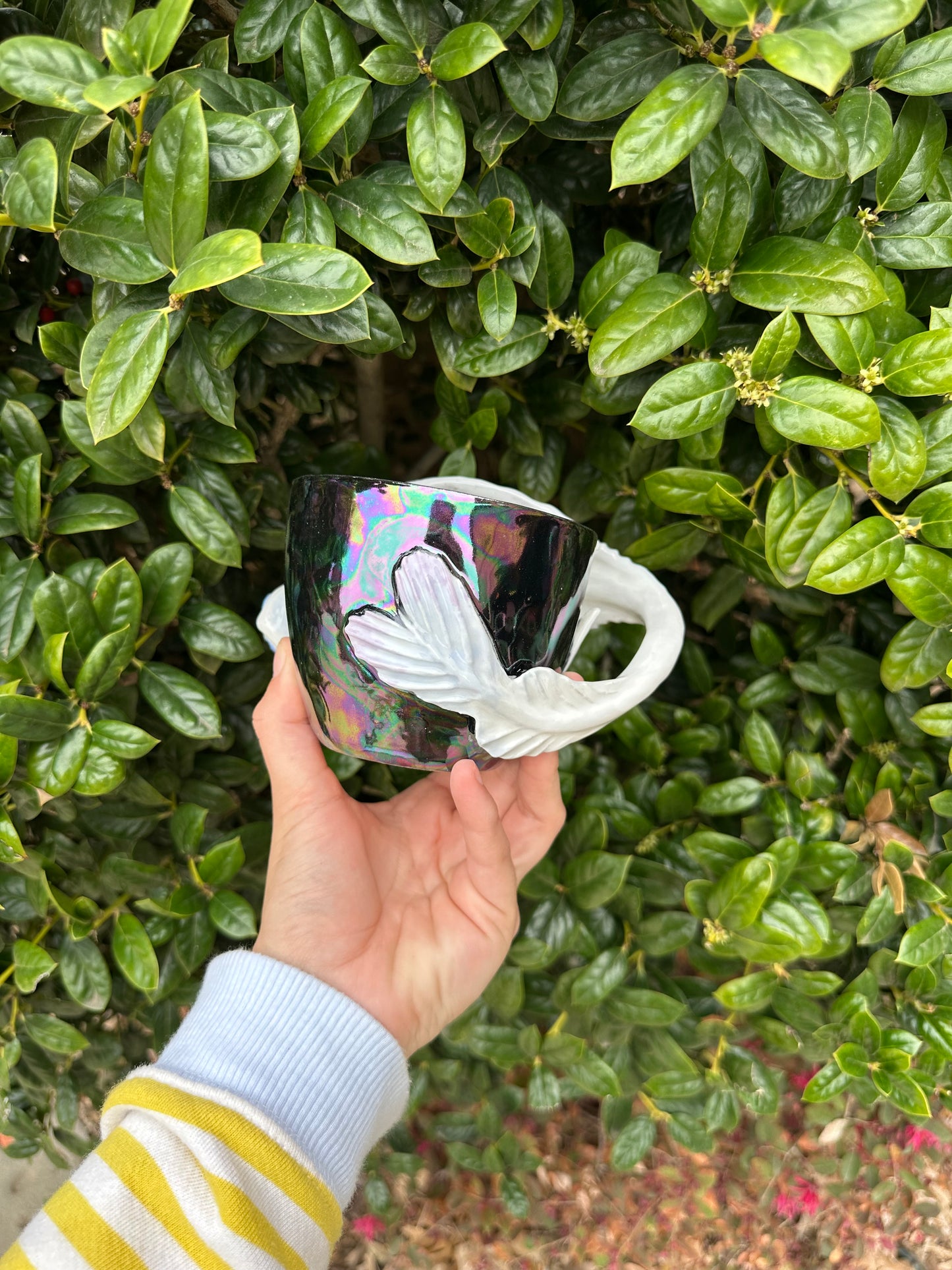 Dragon mug pre-order