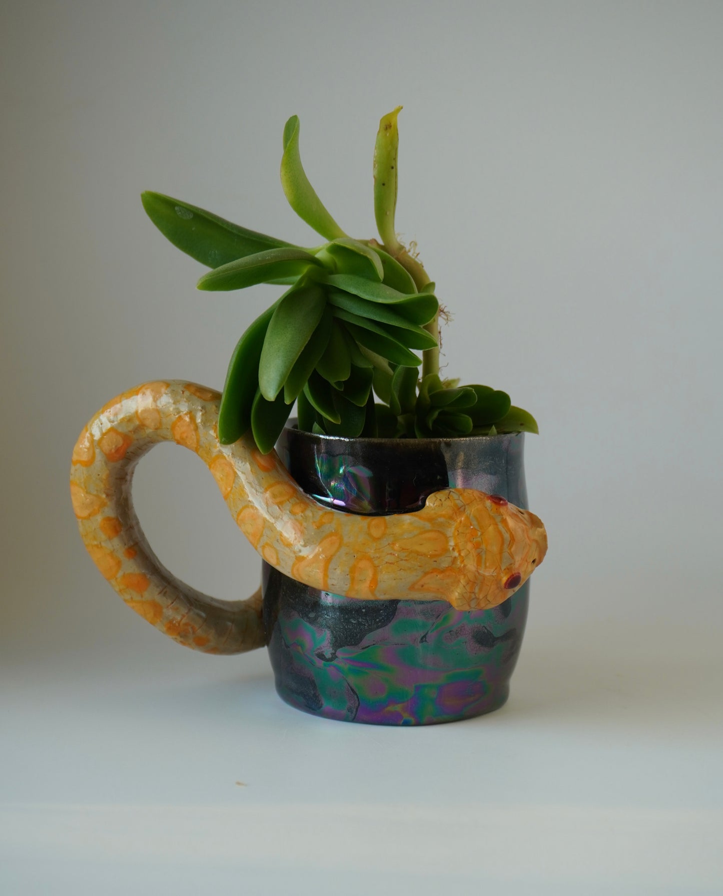 Hognose snake planter